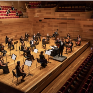 WSO Reconnects with a COVID Safe Concert