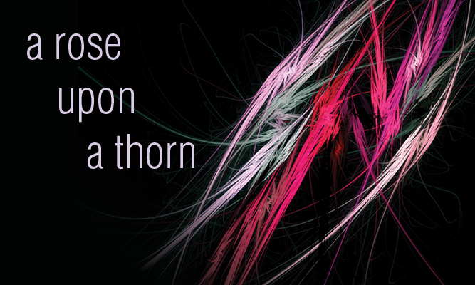 Choir of St James',a rose upon a thorn