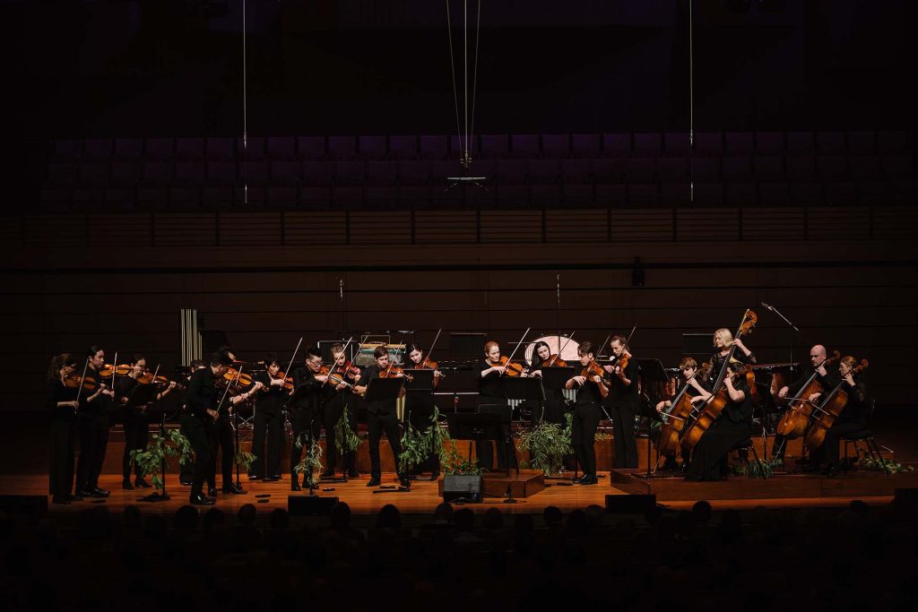 05 25 23 camerata from my homeland qpac morgan roberts 1021