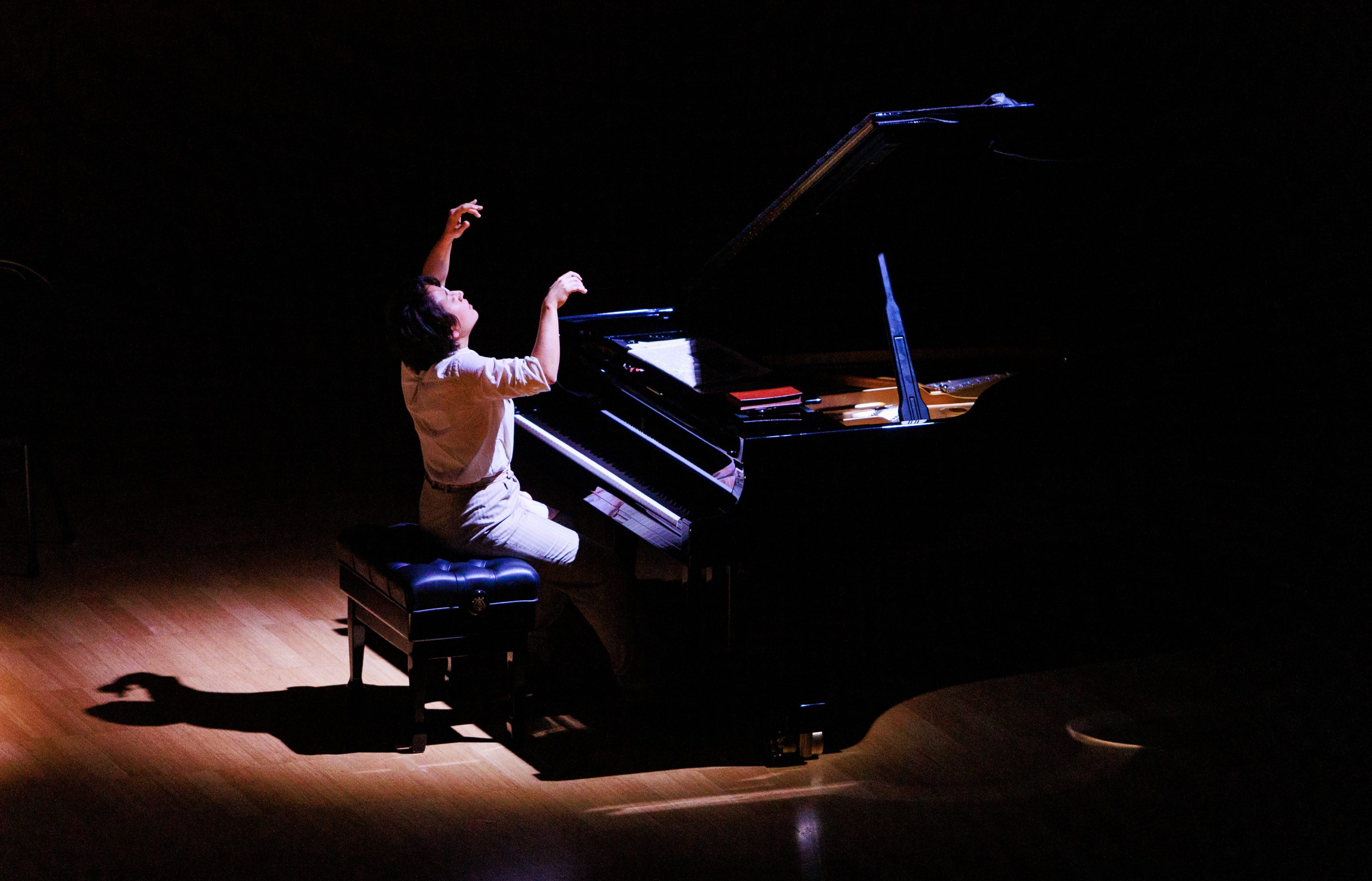 musica viva chopins piano