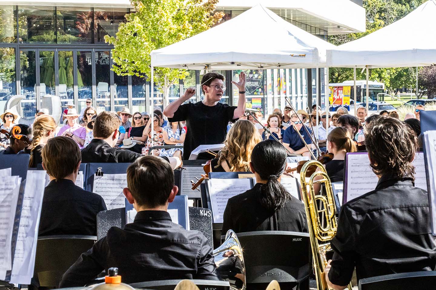 cultured youth orchestra 6