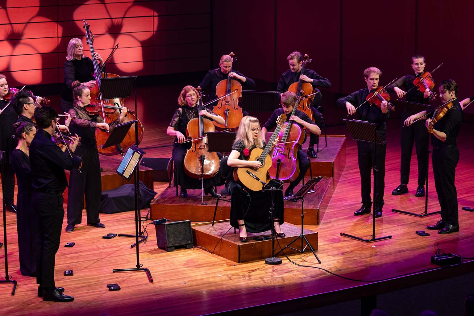 camerata 1
