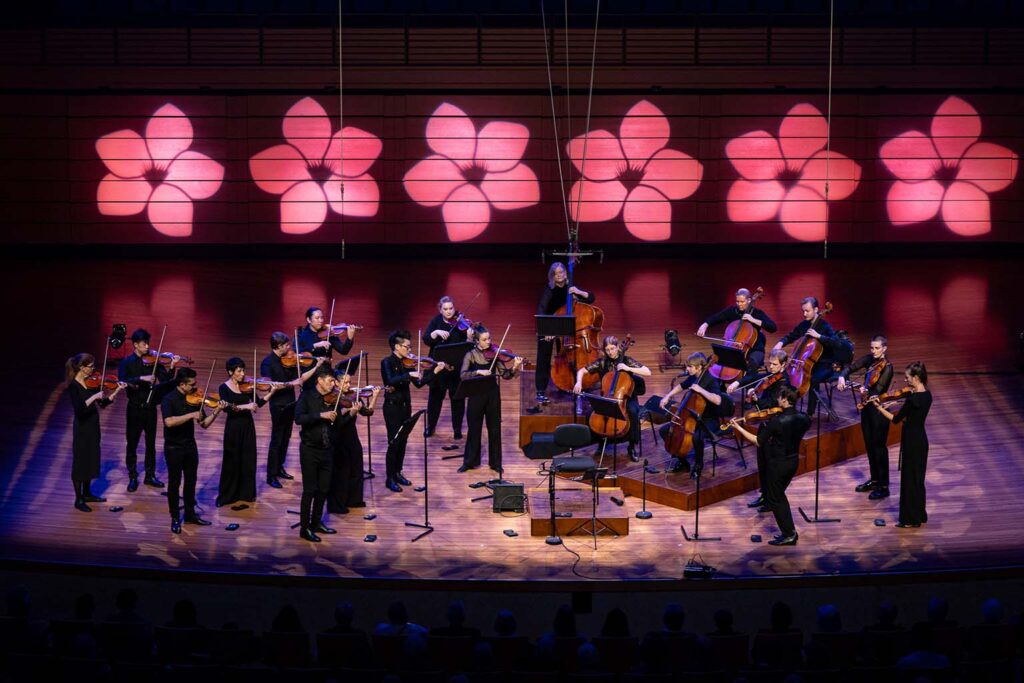 camerata 3