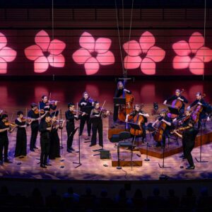 camerata 3