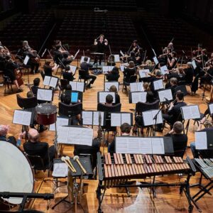 musica mendicus
