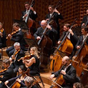 2024 tchaikovskys fourth symphony gallery