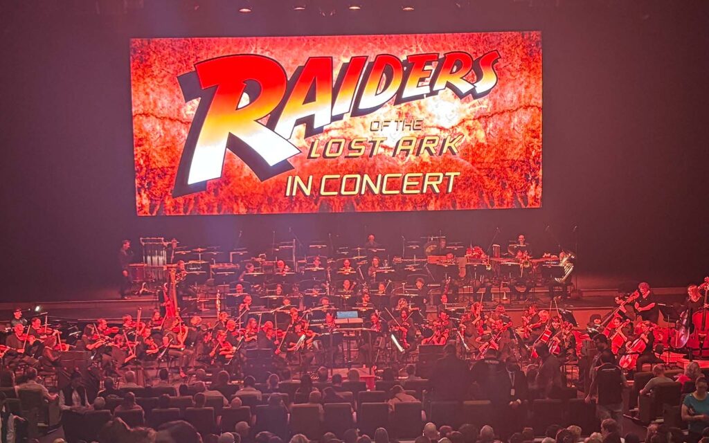 raiders mso