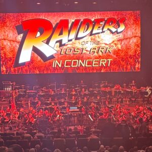 raiders mso