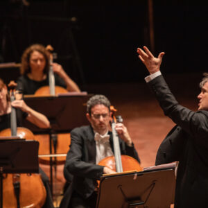 mso 46 copy