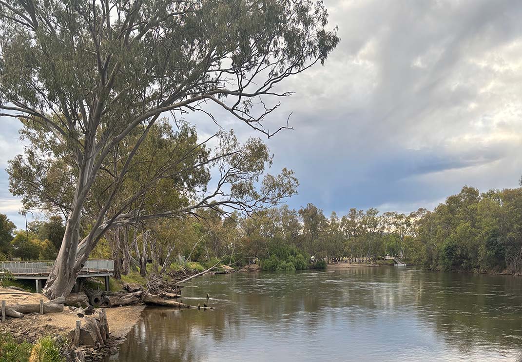 albury 5