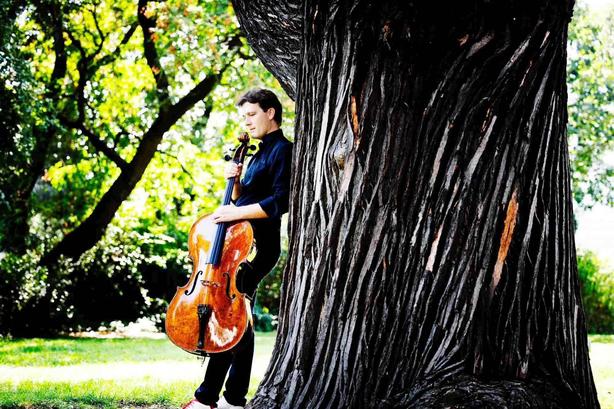 maximilian hornung c. julia wesely web