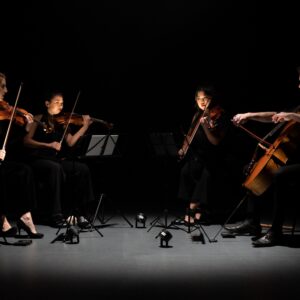 partridge string quartet (2)