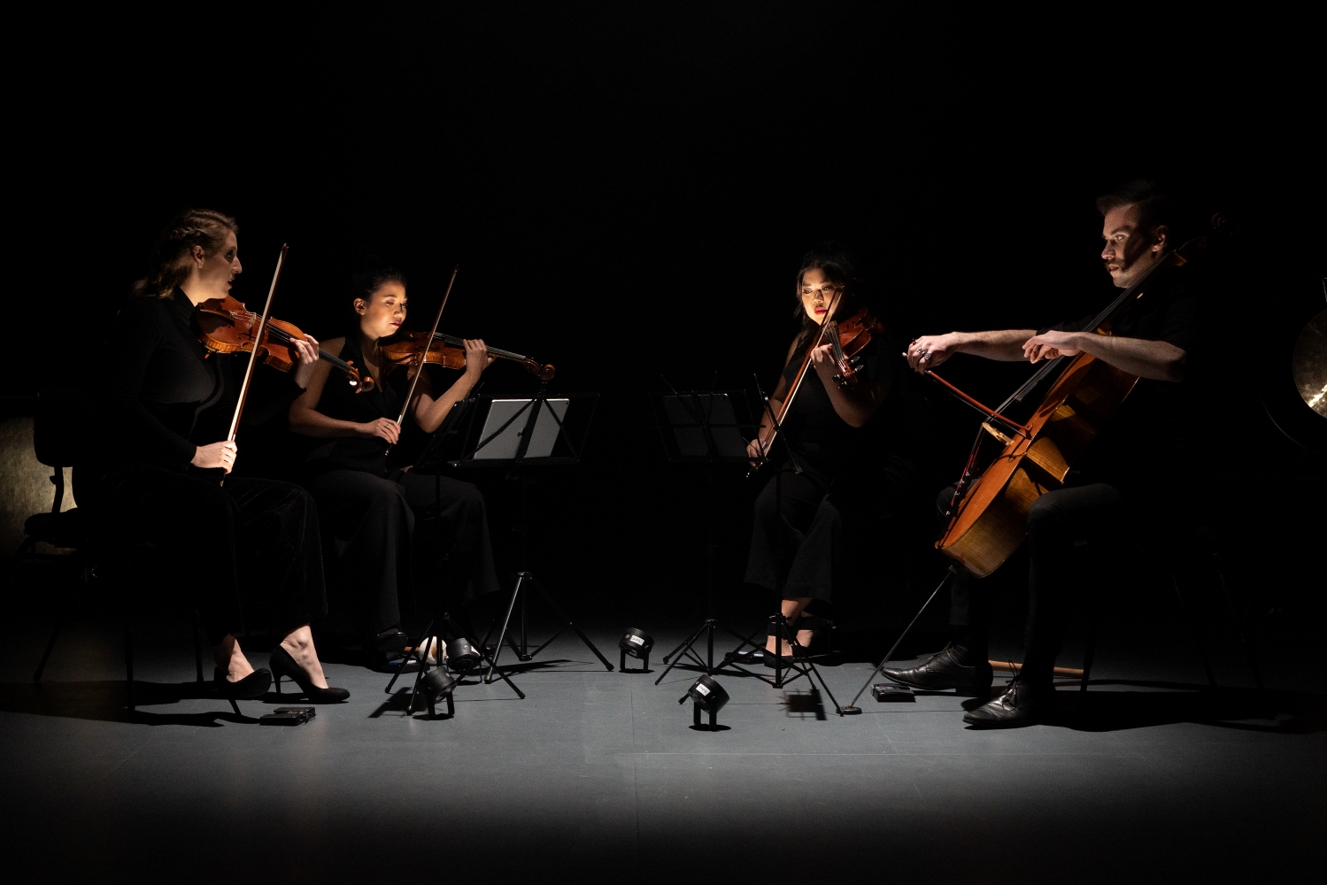 partridge string quartet (2)