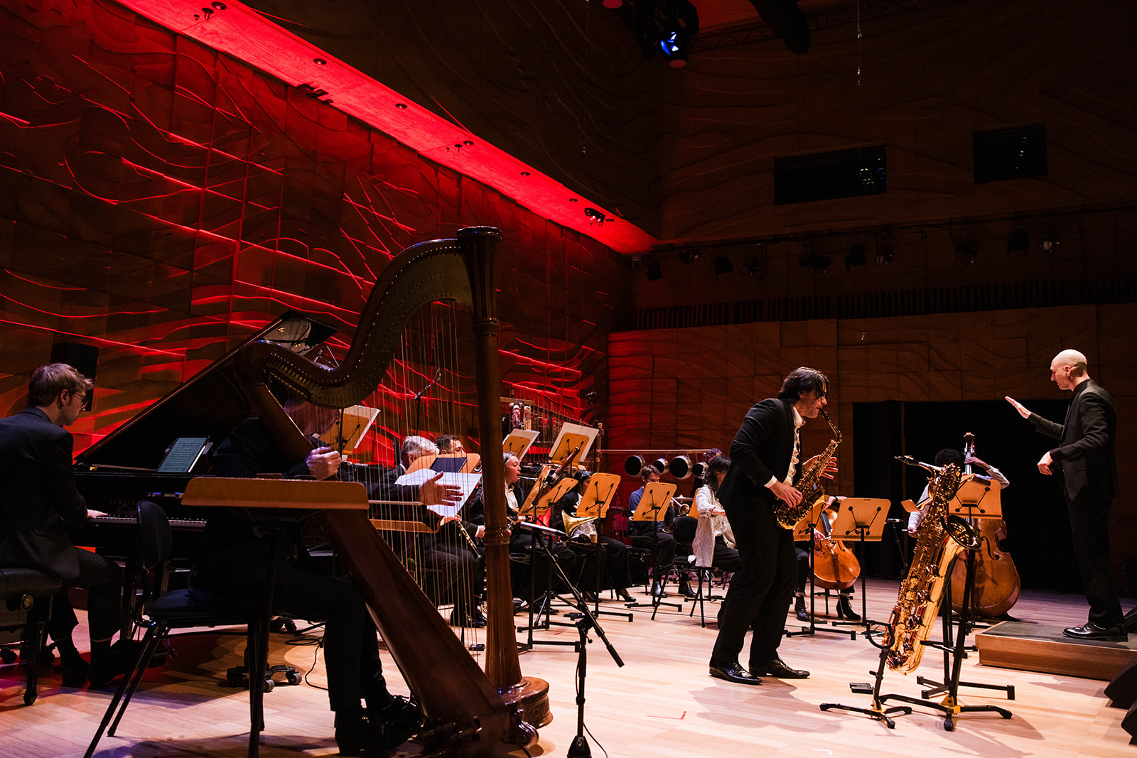 elision ensemble
