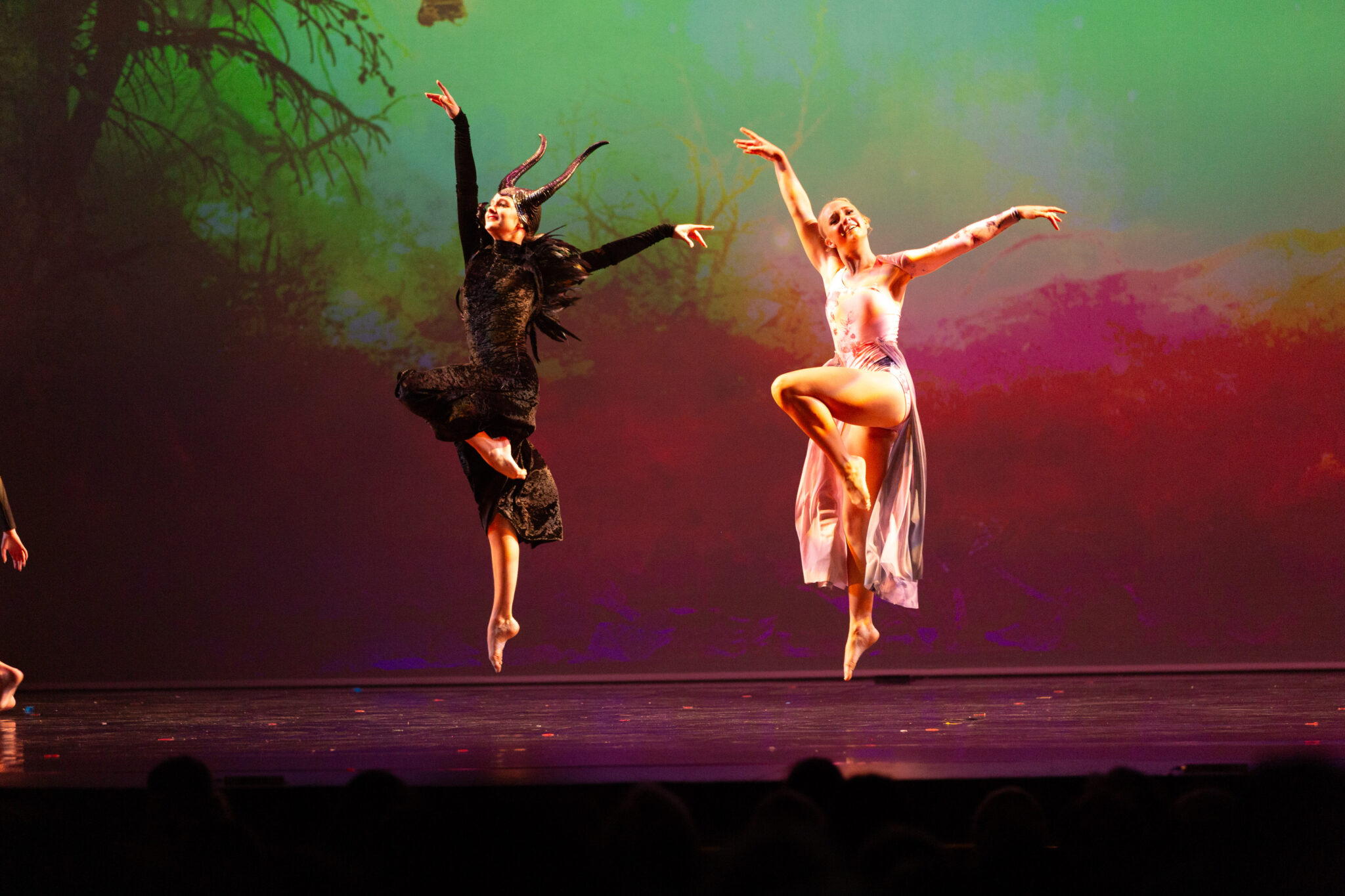 nda 2023 concert maleficent 287 2048x1365 trifold